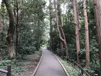 陣ケ下渓谷公園の写真・動画_image_310879