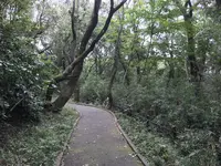 陣ケ下渓谷公園の写真・動画_image_310880