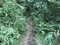 陣ケ下渓谷公園の写真・動画_image_310881