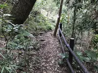 陣ケ下渓谷公園の写真・動画_image_310882
