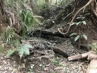 陣ケ下渓谷公園の写真・動画_image_310892