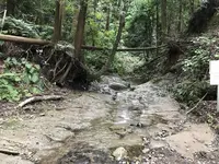 陣ケ下渓谷公園の写真・動画_image_310899