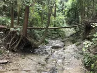 陣ケ下渓谷公園の写真・動画_image_310900