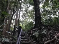 陣ケ下渓谷公園の写真・動画_image_310902