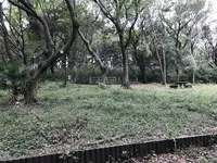 陣ケ下渓谷公園の写真・動画_image_310993