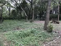 陣ケ下渓谷公園の写真・動画_image_310994