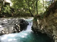 河津七滝の写真・動画_image_311013