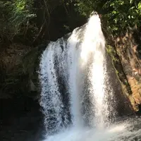 河津七滝の写真・動画_image_311018