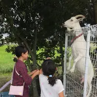 松幸農産これから村の写真・動画_image_311023