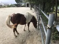 松幸農産これから村の写真・動画_image_311024