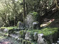 旧天城トンネルの写真・動画_image_311080