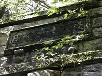 旧天城トンネルの写真・動画_image_311083