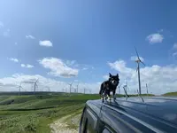 留萌市の写真・動画_image_311120