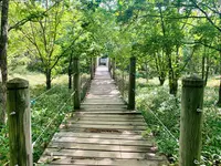 釧路市湿原展望台の写真・動画_image_311152