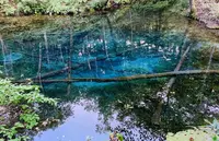神の子池の写真・動画_image_311161
