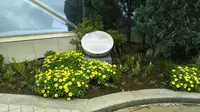豊橋駅の写真・動画_image_311210