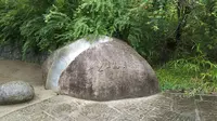鶴牧西公園の写真・動画_image_311251