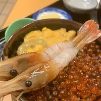 苫小牧西港フェリーターミナルの写真・動画_image_311519