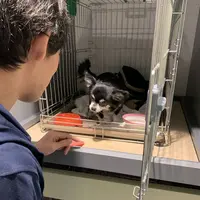 大洗港フェリーターミナルの写真・動画_image_311531