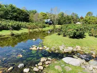 六花の森の写真・動画_image_312004