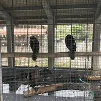 朝霧橋の写真・動画_image_312045