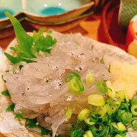 地酒・地魚 三代目ハルク 野毛の写真・動画_image_312089
