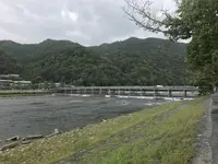 渡月橋の写真・動画_image_312120