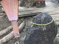 平野神社の写真・動画_image_312147