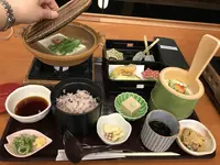 嵯峨とうふ稲 北店の写真・動画_image_312182
