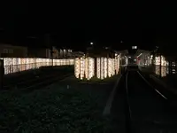 キモノフォレストの写真・動画_image_312184