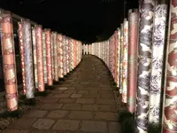 キモノフォレストの写真・動画_image_312187