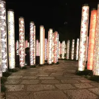 キモノフォレストの写真・動画_image_312188