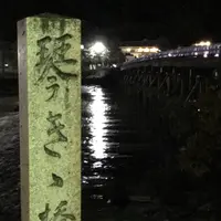 渡月橋の写真・動画_image_312189
