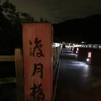 渡月橋の写真・動画_image_312190