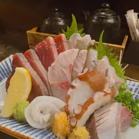 ウミネコの写真・動画_image_312234