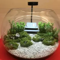 建仁寺の写真・動画_image_312243