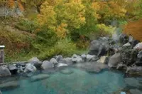 湯宿だいいちの写真・動画_image_312544