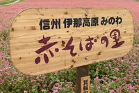 赤そばの里の写真・動画_image_312647