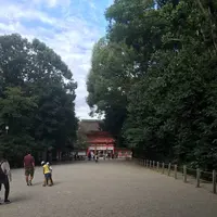 下鴨神社（賀茂御祖神社）の写真・動画_image_312779
