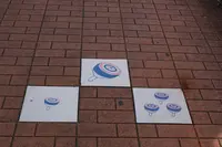 こま参道の写真・動画_image_312908