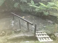 大島紬村の写真・動画_image_313072