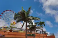 美浜タウンリゾート・アメリカンビレッジの写真・動画_image_313127