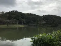 本牧市民公園の写真・動画_image_313163