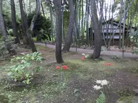 本牧市民公園の写真・動画_image_313171