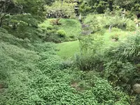 本牧市民公園の写真・動画_image_313173