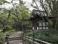 本牧市民公園の写真・動画_image_313175