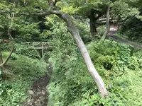 本牧市民公園の写真・動画_image_313184