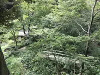 本牧市民公園の写真・動画_image_313185