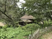 本牧市民公園の写真・動画_image_313247