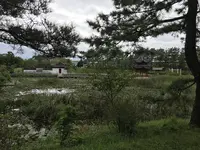 本牧市民公園の写真・動画_image_313257